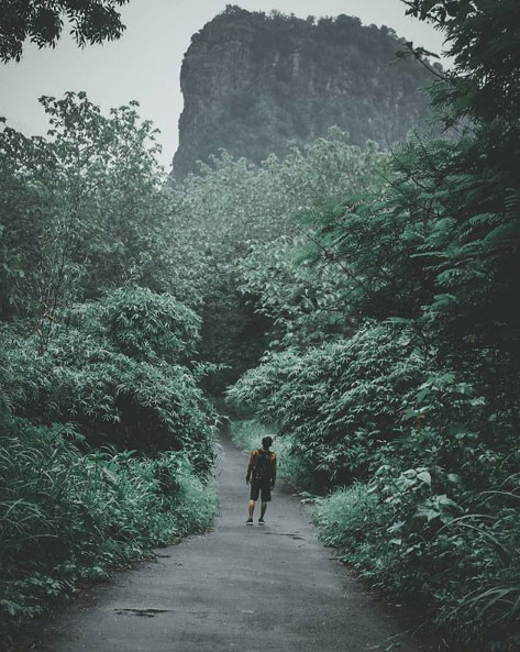 23 Tempat Wisata di Pemalang Yang Paling Hits untuk Berlibur 9 wisata alam pemalang