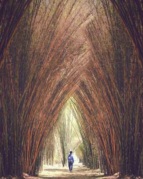 14 Tempat Hunting Foto di Surabaya Paling Rekomended 3 spot foto di surabaya yang bagus