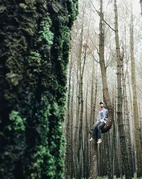 Tempat Hunting Foto di Semarang yang Wajib Dikunjungi 2 tempat hunting keren di semarang