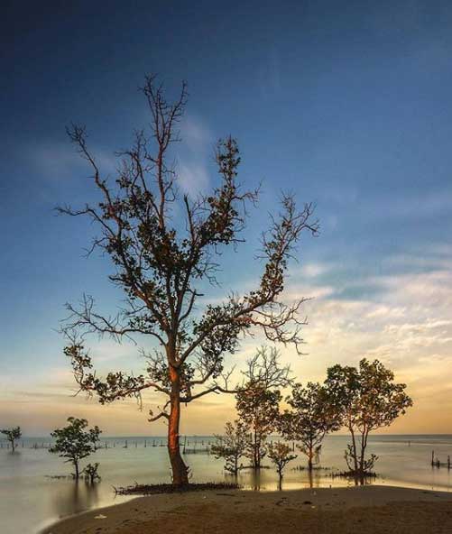tempat wisata keluarga di tanjung selor