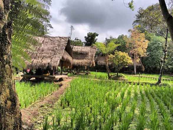 tempat makan di lembang yang viewnya bagus