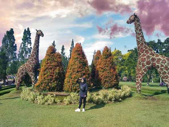 tempat hunting foto keren di bogor