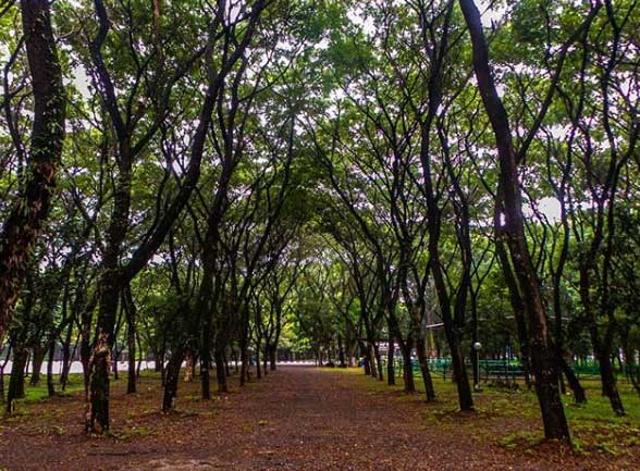 22 Tempat Wisata di Sragen Terpopuler Paling Favorit Anak Muda 3 wisata di sragen terbaru