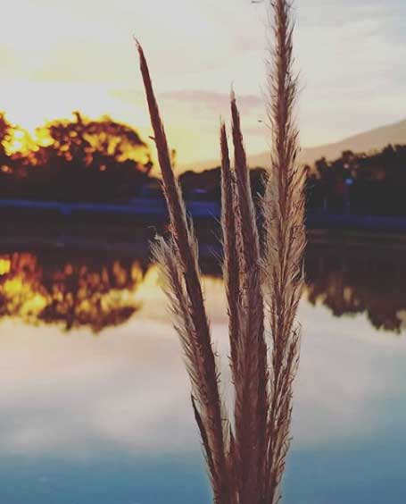 22 Tempat Wisata di Sragen Terpopuler Paling Favorit Anak Muda 18 obyek wisata di sragen jawa tengah