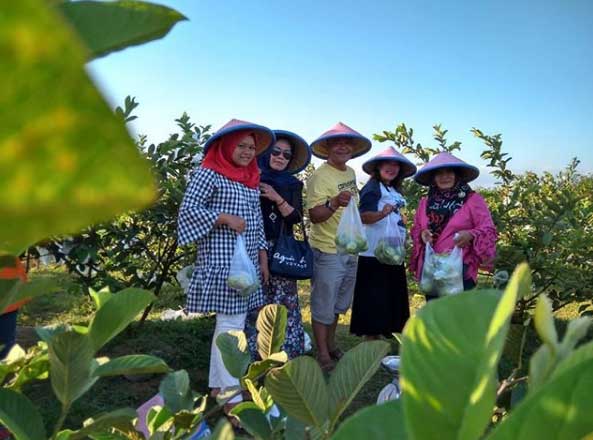 Wisata Botania Garden Purbalingga 4 wisata botania garden