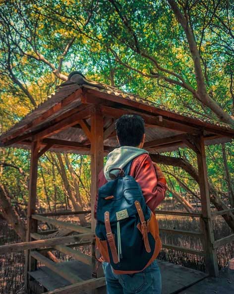 Spot Wisata di taman mangrove morosari