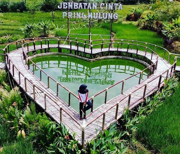 Jembatan Cinta Pring Wulung Purbalingga Yang Sangat Menarik 2 harga tiket masuk jembatan cinta pring wulung