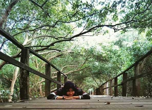 harga tiket masuk taman mangrove morosari