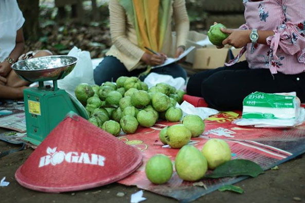 Wisata Botania Garden Purbalingga 7 Spot Wisata di Botania Garden