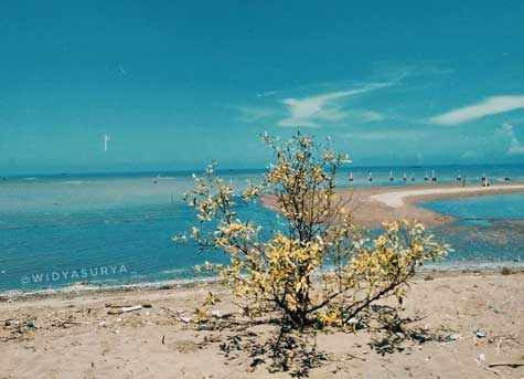 rute menuju pantai morodemak