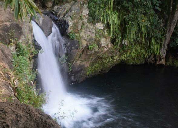 jalan menuju curug nini