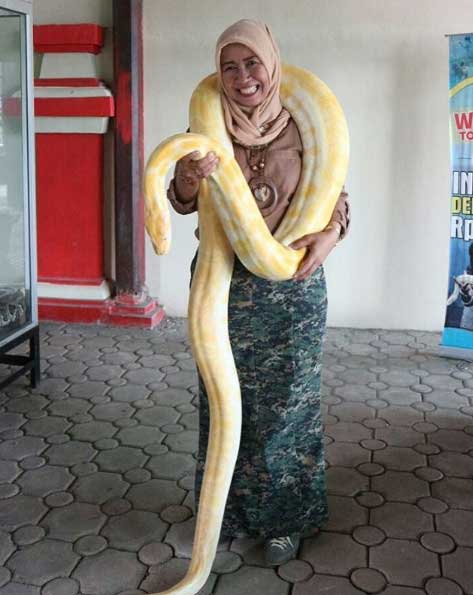 wisata sanggaluri park