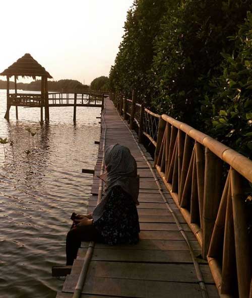 alamat wisata taman mangrove morosari