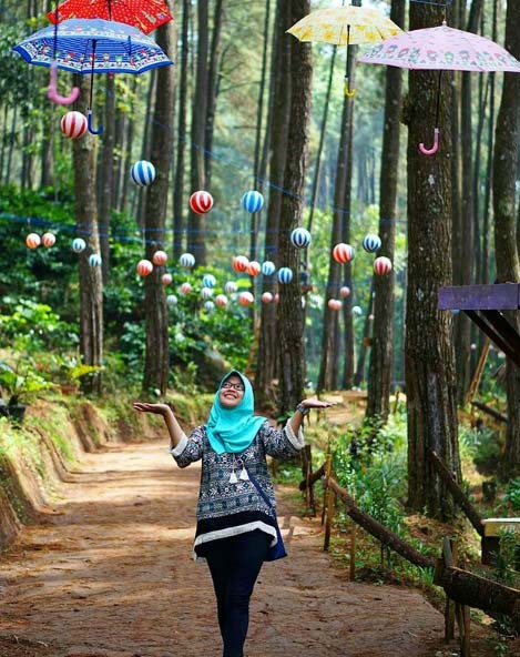 21 Tempat Wisata di Temanggung Paling Hot Untuk Liburan Segala Usia 5 tempat liburan di temanggung