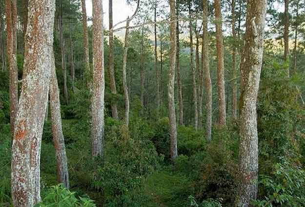 tempat wisata baru di wonogiri