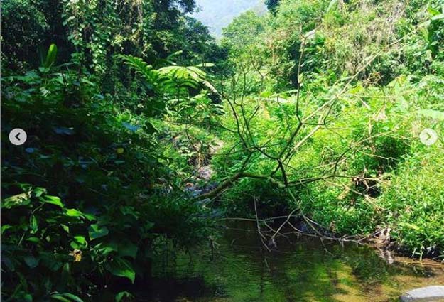 24 Tempat Wisata di Bogor Terbaru 8 wisata alam bogor