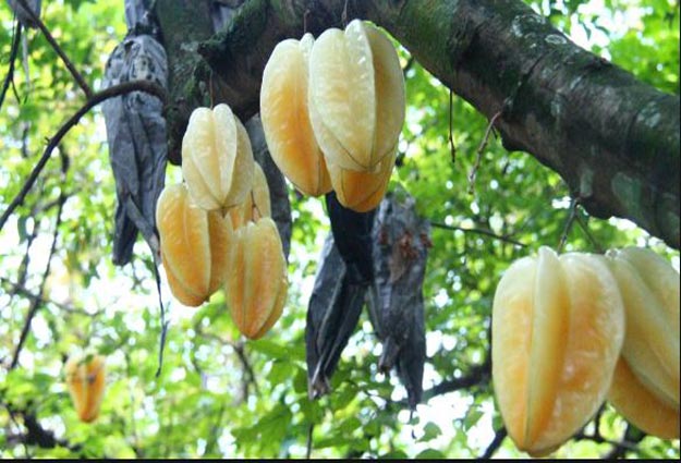 17 Tempat Wisata di Depok Terbaru 9 Tempat Wisata anak di Depok Jawa Barat