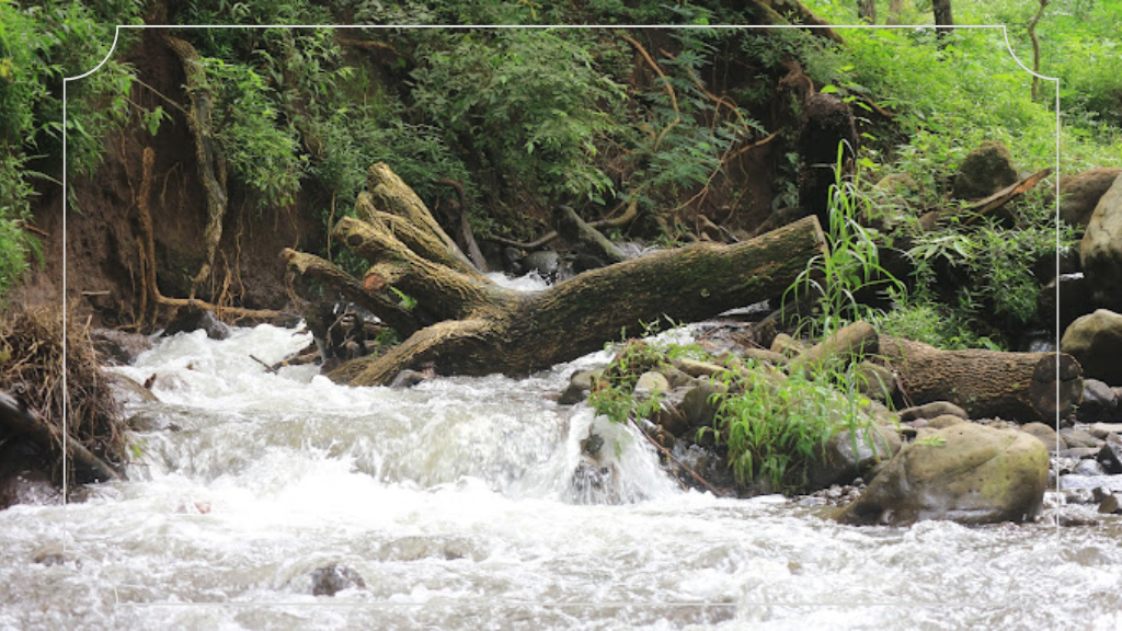 Air Sungai yang Jernih