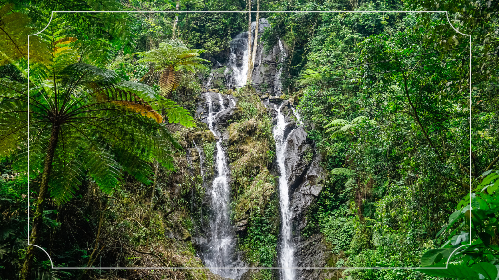 Curug di Bogor Air Terjun 7 Cilember
