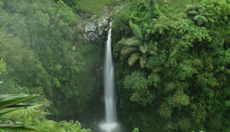Air Terjun Kedung Kayang