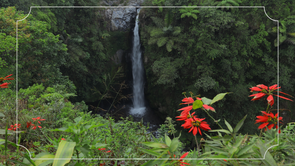 Tempat Wisata di Magelang Terbaru: Penjelajahan Baru yang Harus Kamu Coba 5 Air Terjun Kedung Kayang