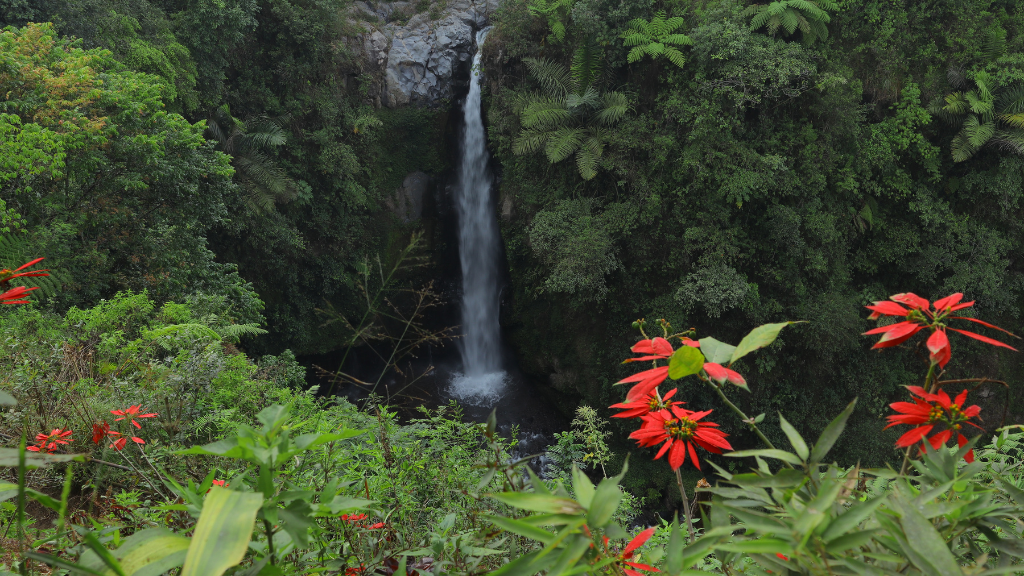 Air Terjun Kedung Kayang