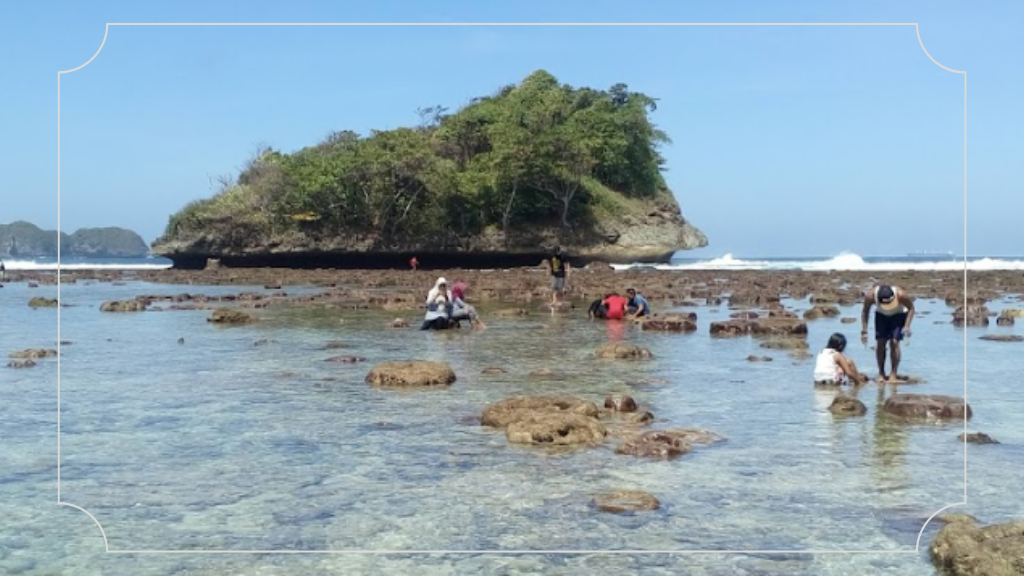 Pantai Teluk Asmara Malang: Keindahan Alam Pantai Di Ujung Timur Jawa 5 Aktivitas Menyenangkan