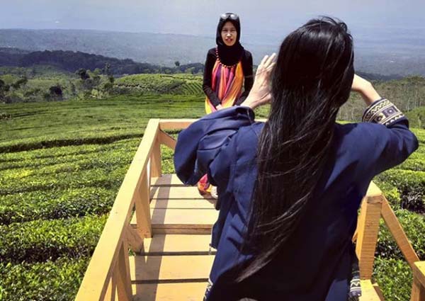 Aktivitas Yang Dapat Dilakukan di Kebun Teh Kertowono