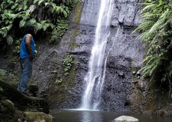 Aktivitas yang dapat dilakukan Curug Seloresi
