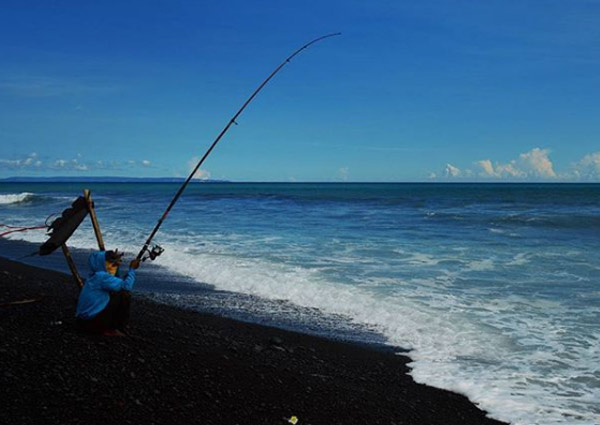 Alam yang Indah dan Asri Pantai Bambang