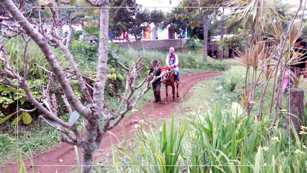 Wisata Kuda Paku Haji - Harga Tiket Masuk, Fasilitas & Daya Tarik 4 Alamat Wisata Kuda Paku Haji