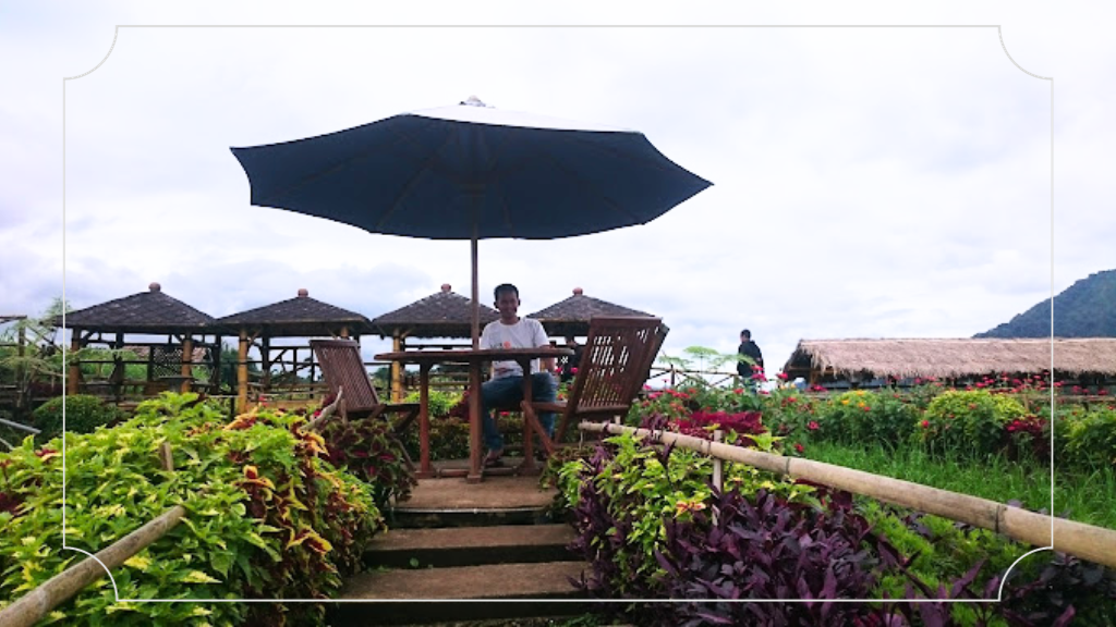 Cafe Sawah Pujon Kidul, Tempat Nongkrong Unik di Pedesaan 4 Alamat dan Rute Cafe Sawah Pujon Kidul