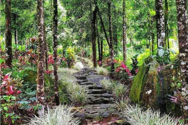 Curug Cipendok Banyumas 3 Alamat dan Rute Lokasi Curug Cipendok