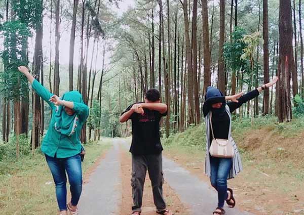 Alamat dan Rute Lokasi Hutan Pinus Bukit Suwondo