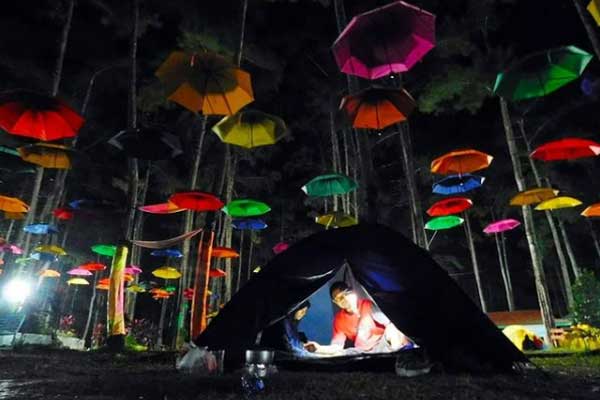 Alamat dan Rute Lokasi Kemit Forest