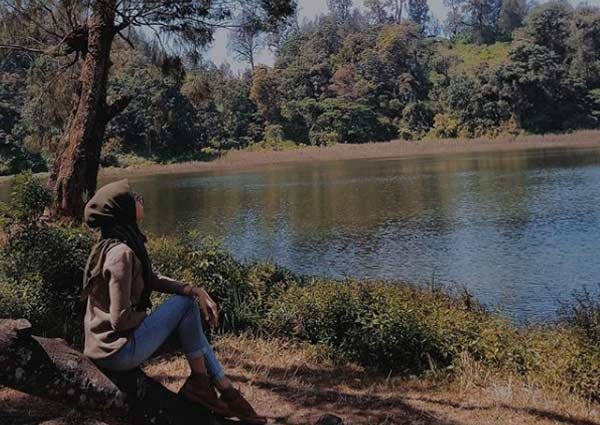 Alamat dan Rute Lokasi Ranu Pane