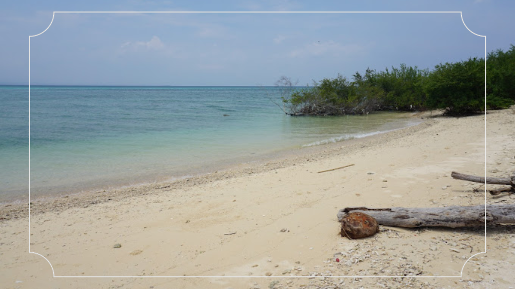 Alamat dan Rute Taman Nasional Bali Barat