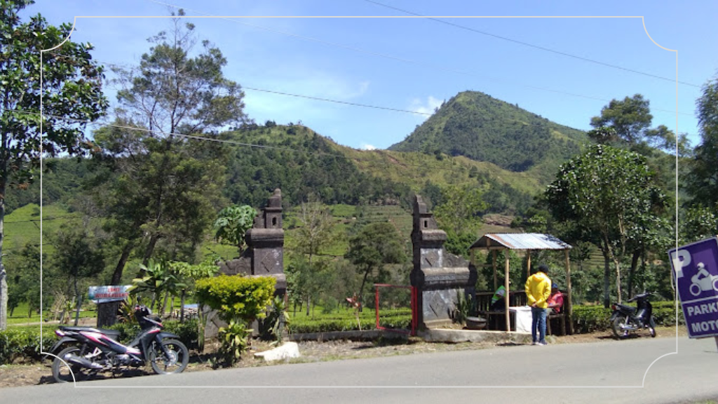 Kebun Teh Tambi Wonosobo - Rute Perjalanan, Daya Tarik & Harga Tiket Masuk 2 Alamat dan Rute ke Kebun Teh Tambi Wonosobo