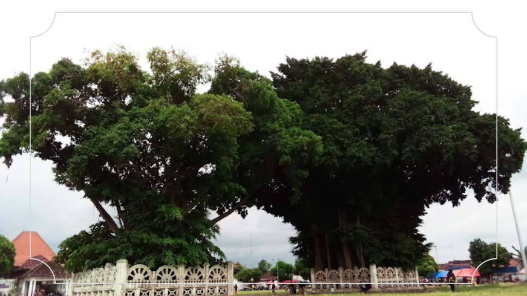 9 Wisata Malam Jogja 24 Jam: Pengalaman Seru di Kota Yogyakarta 3 Alun-Alun Kidul Yogyakarta