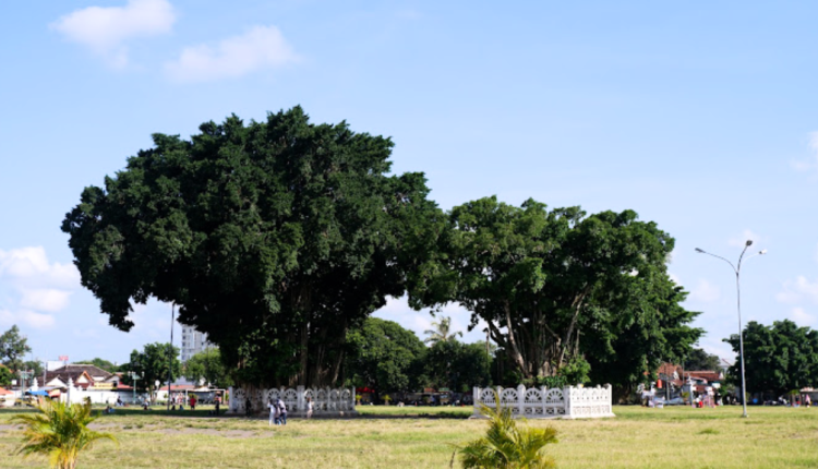 Alun Alun Kidul Yogyakarta