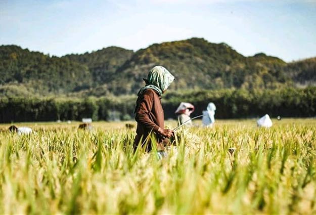 tempat wisata keluarga di Jember