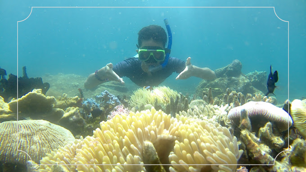 Bangsring Underwater