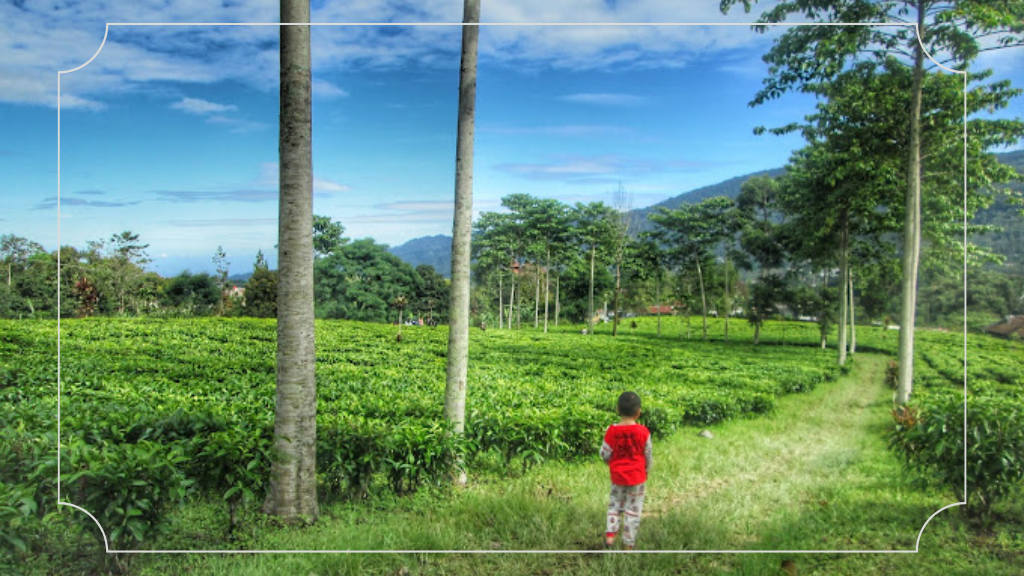 Berfoto, Abadikan Momen