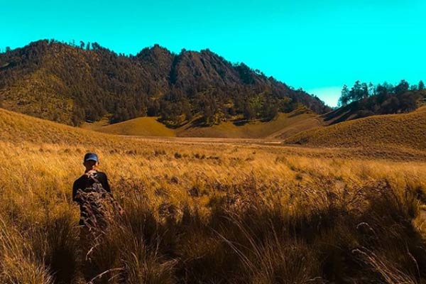 Berjalan-jalan di Sekitar Oro-oro ombo