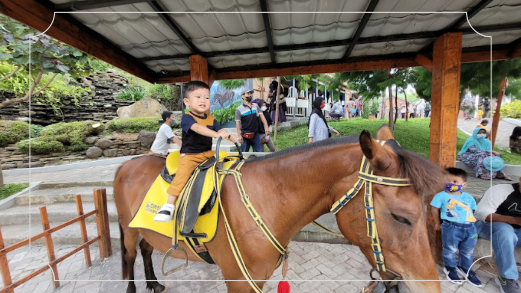 Cimory On The Valley - Harga Tiket Masuk & Rute Lokasi 8 Bermain Bersama Hewan di Dairyland