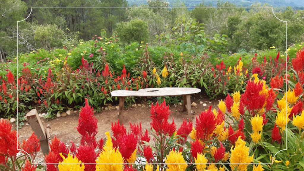 Bermain di Taman Bunga