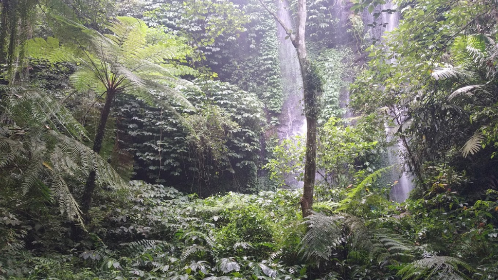 Bersantai Menikmati Alam