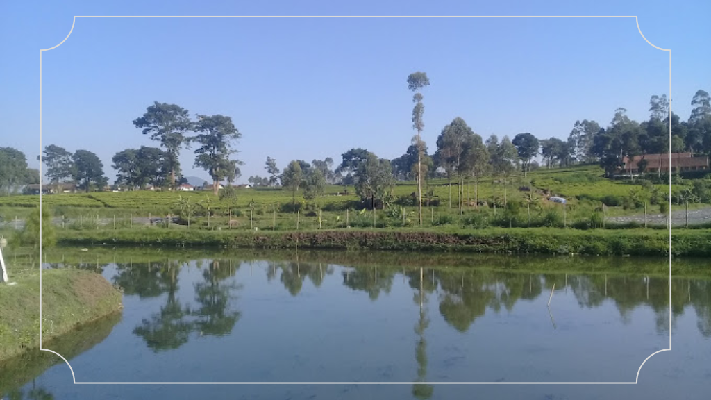 Bersantai di Danau Buatan