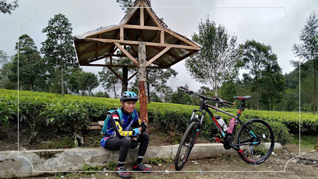 Kebun Teh Tambi Wonosobo - Rute Perjalanan, Daya Tarik & Harga Tiket Masuk 5 Bersepeda