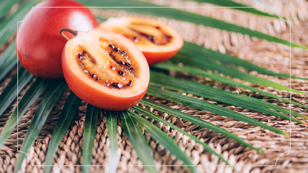 Oleh-Oleh Khas Wonosobo Buah Terong Belanda